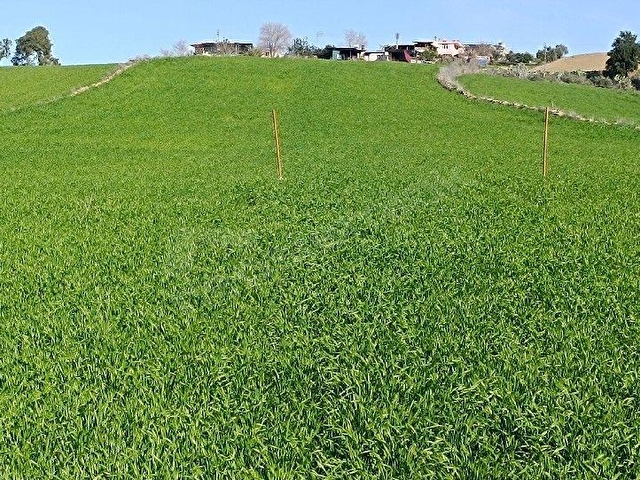 Göl manzaralı 900m2 yol kenarı - Görsel 2