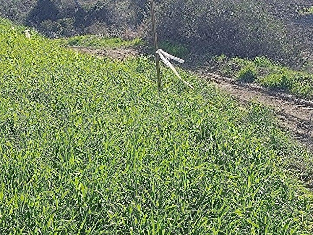 Göl manzaralı 900m2 yol kenarı - Görsel 3