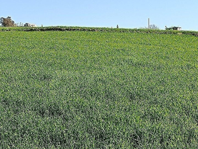 Göl manzaralı 900m2 yol kenarı - Görsel 6