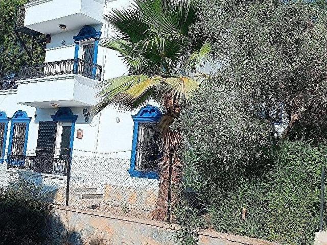 Bodruma yakın keşfedilmemiş köy Kıyıkışlacık Zeytinlikuyuda plaja sadece 150m tam müstakil VİLLA - Görsel 2