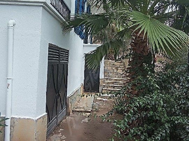 Bodruma yakın keşfedilmemiş köy Kıyıkışlacık Zeytinlikuyuda plaja sadece 150m tam müstakil VİLLA - Görsel 18