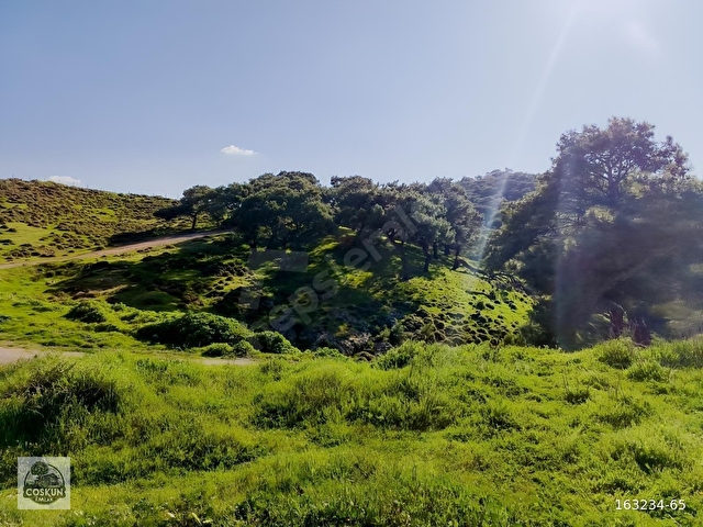 BURHANİYE PELİTKÖY İÇİNDE 1180 m ARSA İÇİNDE SATILIK KÖY EVİ - Görsel 28