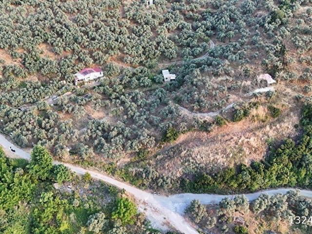 SELÇUK/İCADİYE YOLA CEPHELİ MANZARALI ZEYTİNLİK - Görsel 20