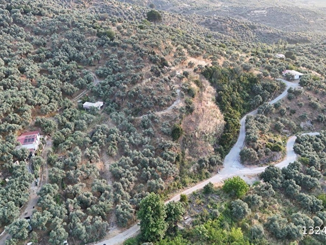 SELÇUK/İCADİYE YOLA CEPHELİ MANZARALI ZEYTİNLİK - Görsel 26