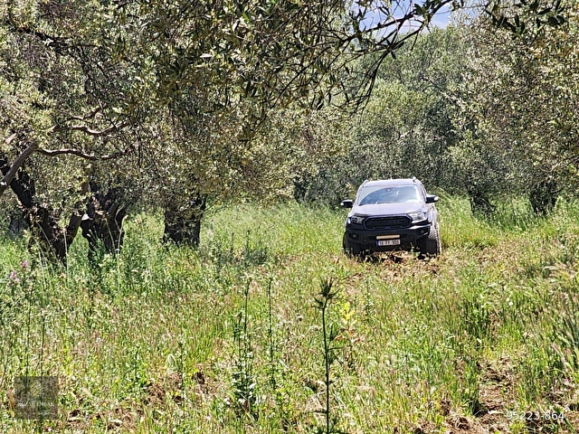 Balıkesir Gömeç Kemalpaşa Zeytinlik Satılık - Görsel 21