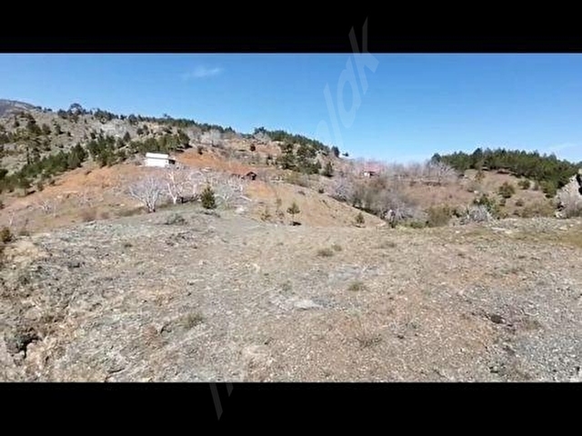 ÇAYHİSARDA HİSSELİ ARSA