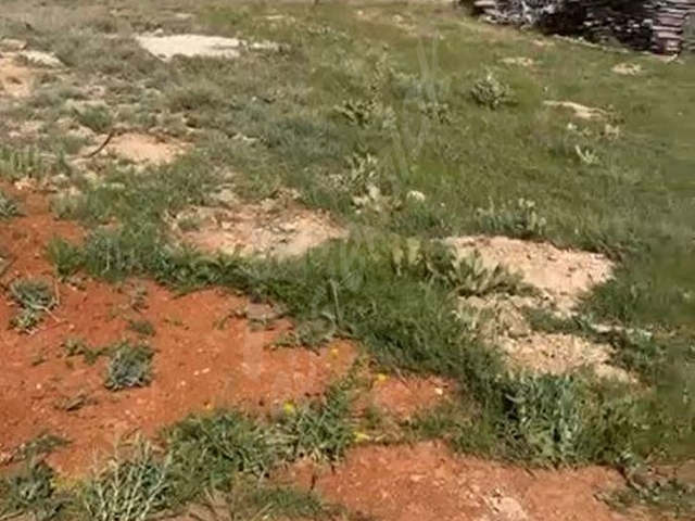 YENİ SIZMA DA 2 KATA İMARLI SATILIK ARSALAR - Görsel 4