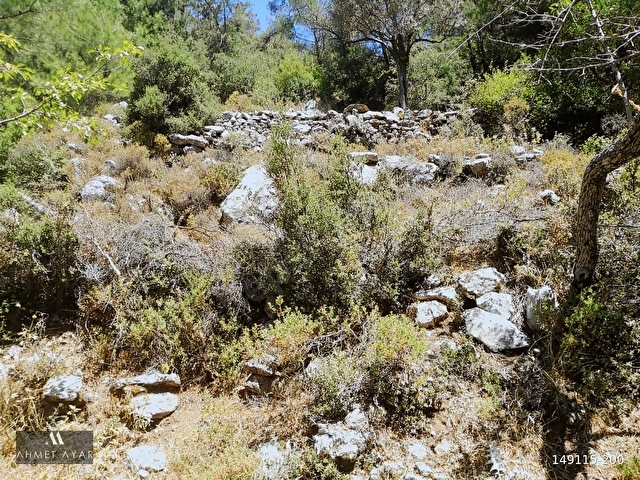 Marmaris Osmaniye Köyünde 5.666 m2 Satılık Tarla - Görsel 20
