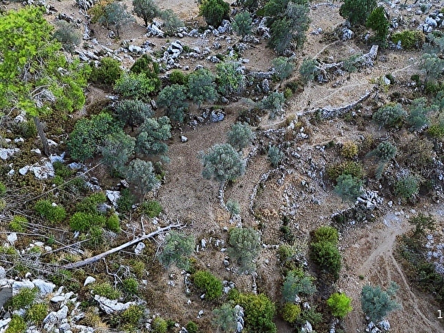 Marmaris Osmaniye Köyünde 5.666 m2 Satılık Tarla - Görsel 11