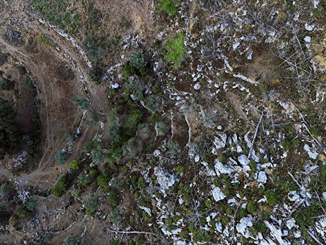 Marmaris Osmaniye Köyünde 5.666 m2 Satılık Tarla - Görsel 12