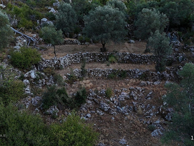 Marmaris Osmaniye Köyünde 5.666 m2 Satılık Tarla - Görsel 8