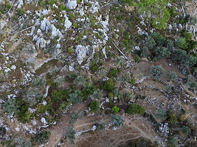 Marmaris Osmaniye Köyünde 5.666 m2 Satılık Tarla - Görsel 7