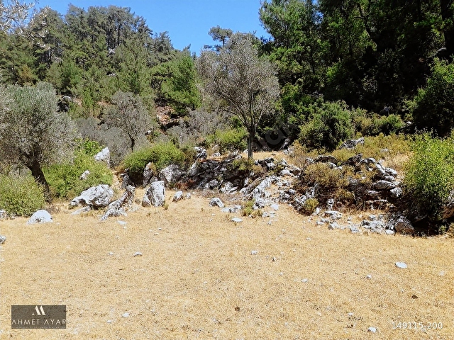 Marmaris Osmaniye Köyünde 5.666 m2 Satılık Tarla - Görsel 16