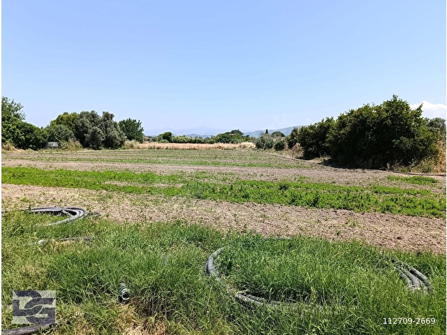 URLA İSKELE AĞAÇLI YOL ÜZERİ KİRALIK TARLA - Görsel 4