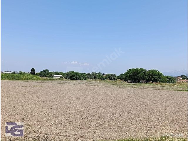 URLA İSKELE AĞAÇLI YOL ÜZERİ KİRALIK TARLA - Görsel 12