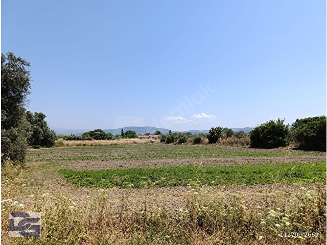 URLA İSKELE AĞAÇLI YOL ÜZERİ KİRALIK TARLA - Görsel 3
