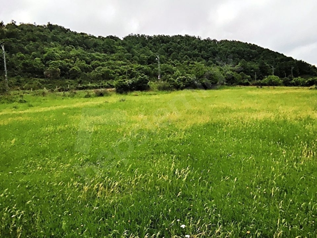 BEYKOZ KABAKOZ PLAJI VE YOLA CEPHE 9.242m2 EMSALSİZ SATILIK ARSA - Görsel 7