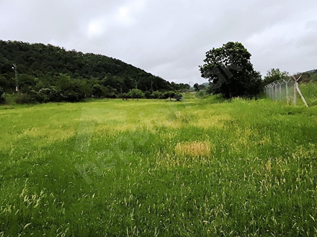 BEYKOZ KABAKOZ PLAJI VE YOLA CEPHE 9.242m2 EMSALSİZ SATILIK ARSA - Görsel 6