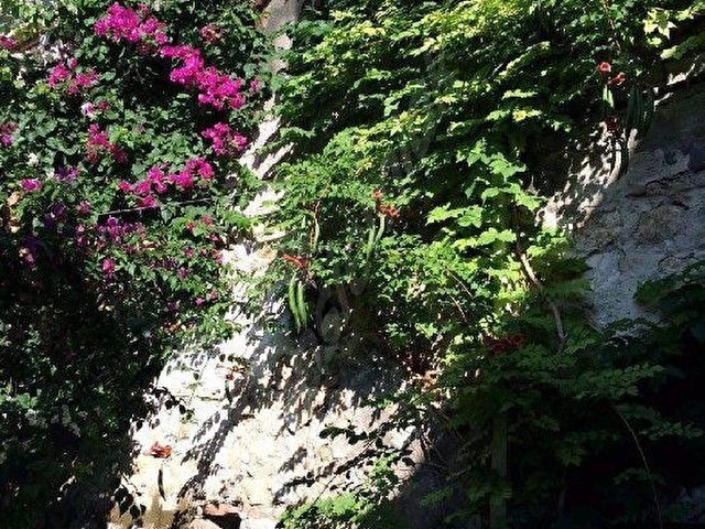 ANTAKYA SARAY CADDESİNDE 2 KATLI TARİHİ TAŞ KONAK - Görsel 9