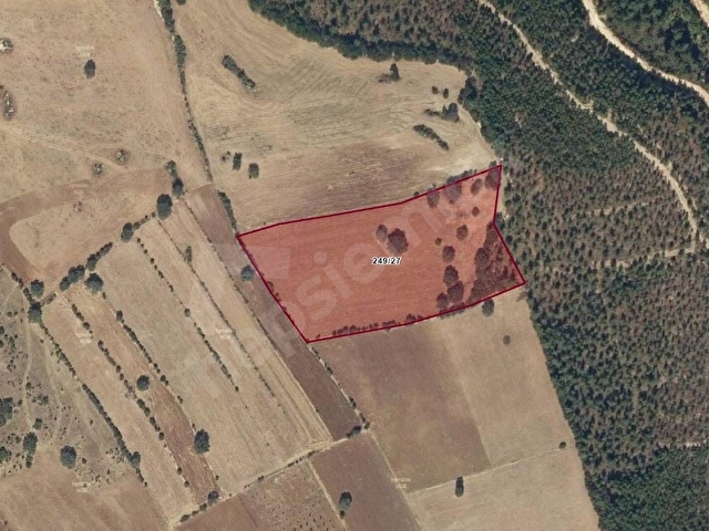 TEK TAPU  DÜZ ARAZİ  14,200 M2 - Görsel 2