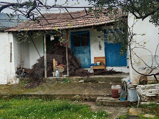 Yakapınar 3 Tapu Birden 2430 m2 köy evi ve zeytinlik - Görsel 6
