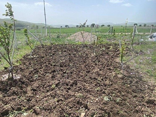 ÇUBUK YUKARI ÇAVUNDUR MAH 250 M2 HOBİ BAHÇESİ - Görsel 3