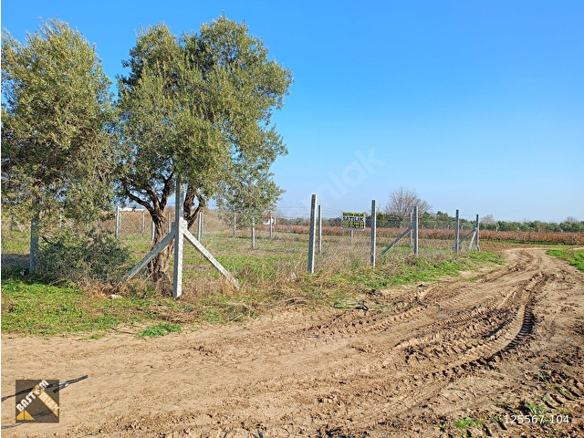 KOMİSYONSUZ! Kemalpaşa Yukarı Kızılca Merkezde 481M2 müstakil tapulu etrafı çevrili satılık Bağ - Görsel 21