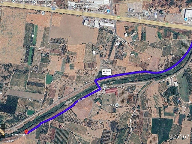 KOMİSYONSUZ! Kemalpaşa Yukarı Kızılca Merkezde 481M2 müstakil tapulu etrafı çevrili satılık Bağ - Görsel 30