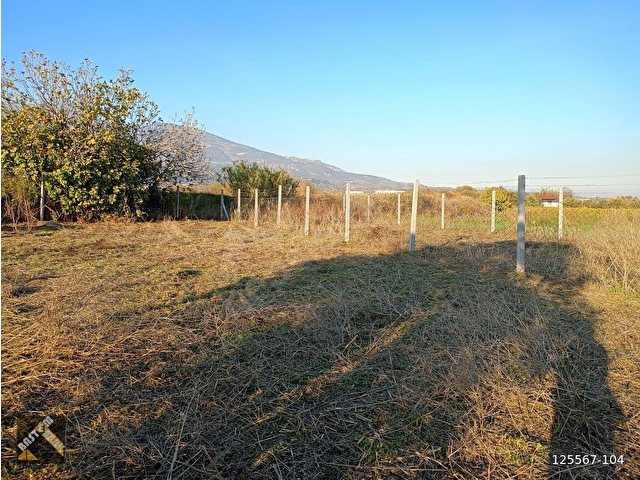 KOMİSYONSUZ! Kemalpaşa Yukarı Kızılca Merkezde 481M2 müstakil tapulu etrafı çevrili satılık Bağ - Görsel 12