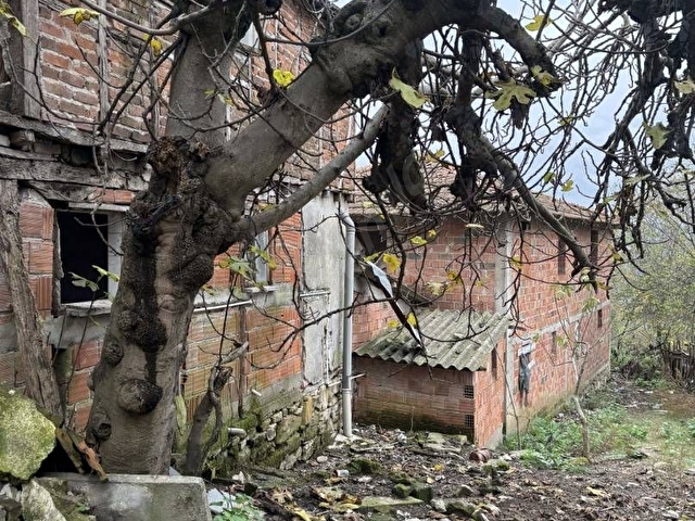 SAHİBİNDEN SATILIK KÖY EVİ + KABA İNŞAAT + AHIR + DÜKKAN - Görsel 13