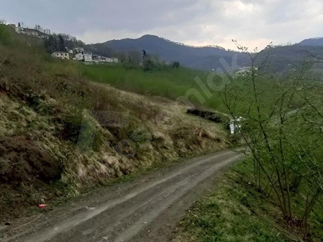 AKÇAABAT AKPINAR MAHALLESİNDE SATILIK 9.5 DÖNÜM ARAZİ - Görsel 22