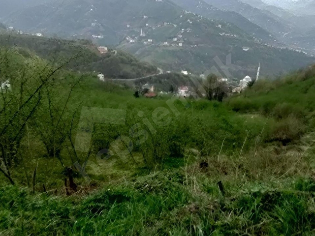AKÇAABAT AKPINAR MAHALLESİNDE SATILIK 9.5 DÖNÜM ARAZİ - Görsel 16