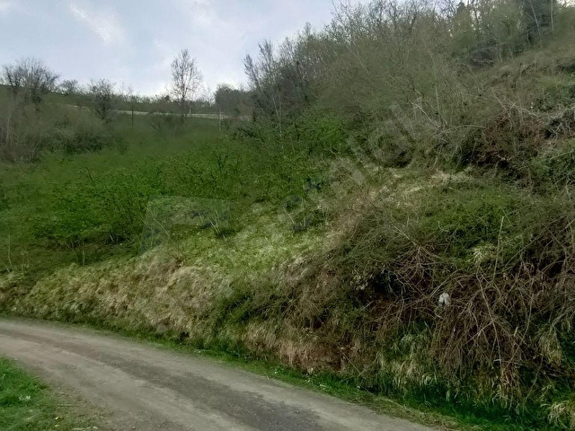 AKÇAABAT AKPINAR MAHALLESİNDE SATILIK 9.5 DÖNÜM ARAZİ