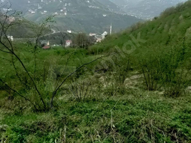 AKÇAABAT AKPINAR MAHALLESİNDE SATILIK 9.5 DÖNÜM ARAZİ - Görsel 9