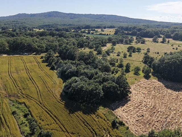 PINARHİSAR EVCİLER KÖYÜ’NDE SATILIK14.000 m² TARLA - Görsel 25