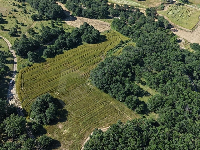 PINARHİSAR EVCİLER KÖYÜ’NDE SATILIK14.000 m² TARLA - Görsel 16
