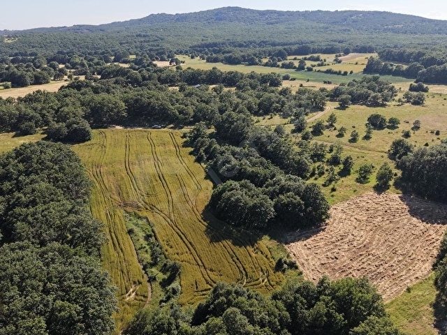 PINARHİSAR EVCİLER KÖYÜ’NDE SATILIK14.000 m² TARLA - Görsel 2