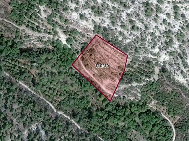 MUT SATILIK BAHÇE 5242M2 PAMUKLU KÖYÜ MUT MERSİN - Görsel 2