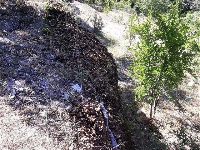 MUT SATILIK BAHÇE 5242M2 PAMUKLU KÖYÜ MUT MERSİN - Görsel 9