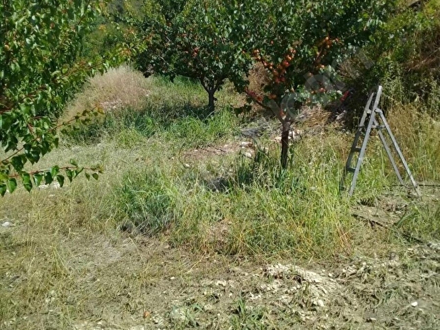 MUT SATILIK BAHÇE 5242M2 PAMUKLU KÖYÜ MUT MERSİN - Görsel 16