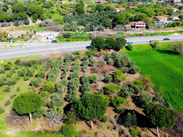 BAHÇELİ MAH.ANAYOLA CEPHE SATILIK TARLA 3.385 M² - Görsel 3