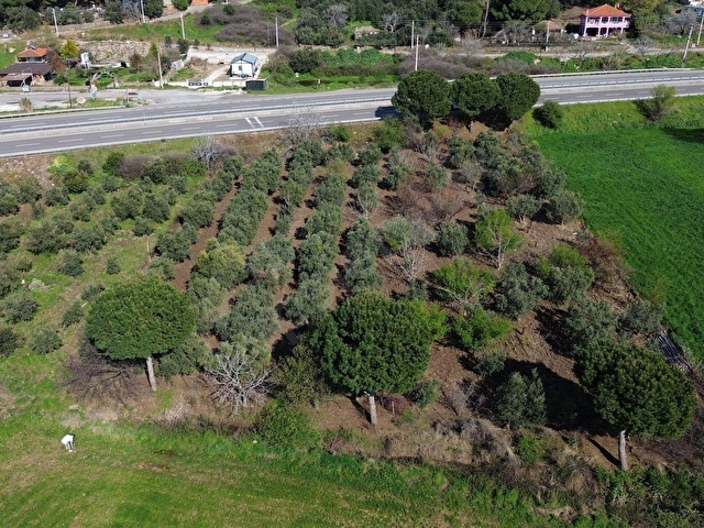 BAHÇELİ MAH.ANAYOLA CEPHE SATILIK TARLA 3.385 M² - Görsel 10