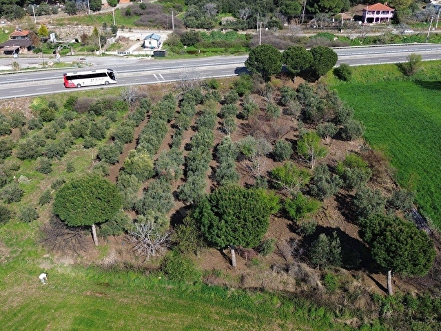 BAHÇELİ MAH.ANAYOLA CEPHE SATILIK TARLA 3.385 M² - Görsel 9