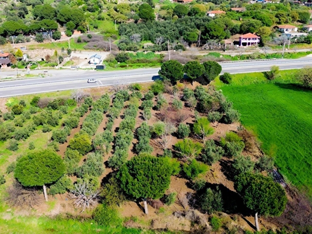 BAHÇELİ MAH.ANAYOLA CEPHE SATILIK TARLA 3.385 M²