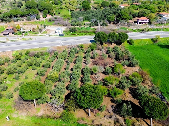 BAHÇELİ MAH.ANAYOLA CEPHE SATILIK TARLA 3.385 M² - Görsel 7