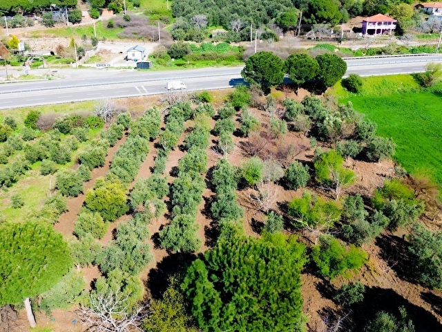 BAHÇELİ MAH.ANAYOLA CEPHE SATILIK TARLA 3.385 M² - Görsel 12