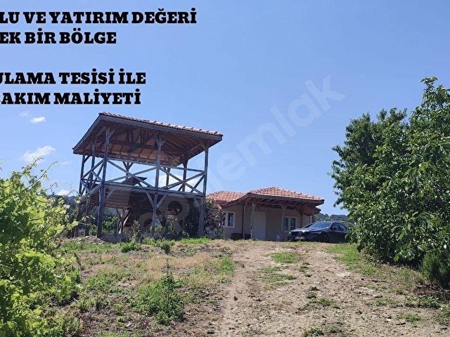ÇANAKKALE LAPSEKİ UMURBEYDE BAĞ BAHÇE,EVİ VE MEYVE AĞAÇLARI - Görsel 15