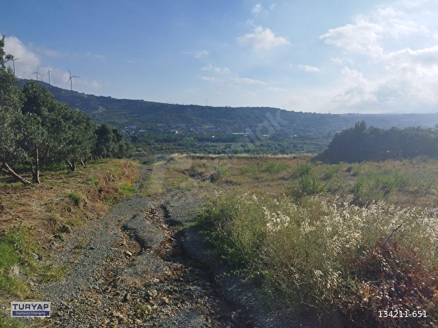 ÖZBEKTE SATILIK 5.600 M2 MANZARALI FIRSAT PARSEL - Görsel 2