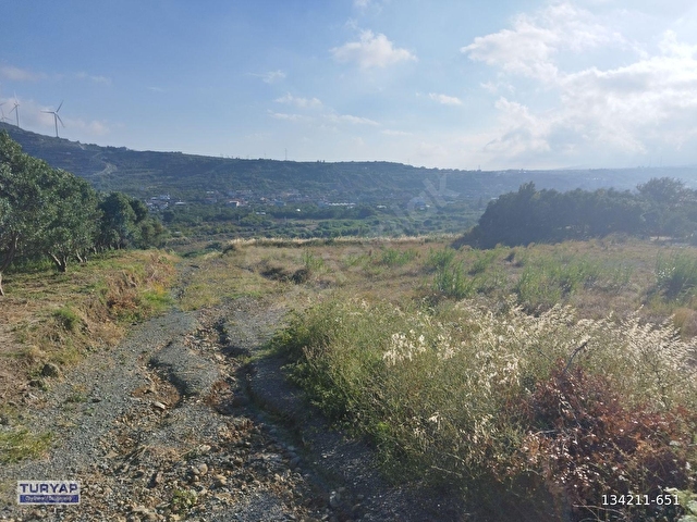 ÖZBEKTE SATILIK 5.600 M2 MANZARALI FIRSAT PARSEL - Görsel 6