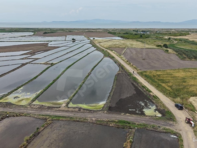 Çanakkale Biga Güvemalan Köyünde Deniz Manzaralı 17 Dönüm Tarla - Görsel 12